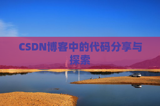 CSDN博客中的代码分享与探索